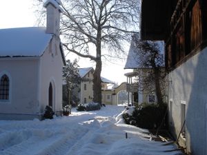 Winter auf Gut Horn