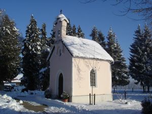 Winter auf Gut Horn