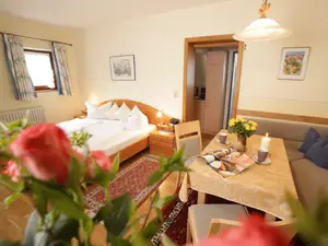 Wohn-Schlafraum kombiniert