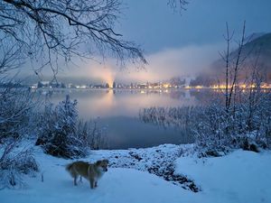 Walchsee