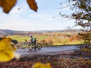 Ferienwohnungen Wald und Wiese