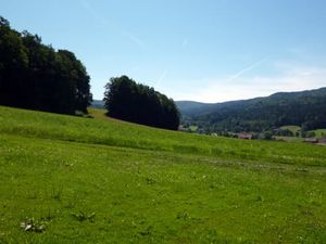 Grüne Wiesen rund um's Feriendorf