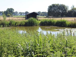 Teich/Gartenhaus