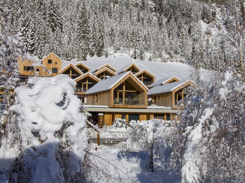 Chalets Regitnig Weissensee Winter