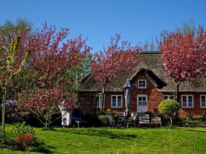 Die Ferienwohnung vom Grundstück aus