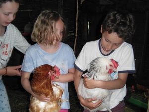 Greiwenhof Kinder &amp; Hühner