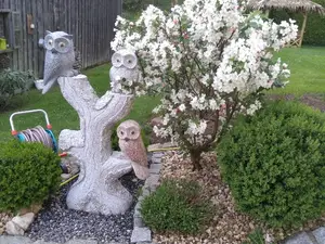 Garten Garten