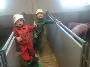 AlleHelfenMit2 AlleHelfenMit2