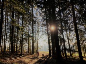 Natur pur direkt vor der Haustür