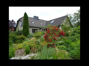 Garten mit Rose