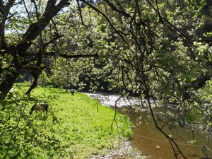 Landschaft Eifel