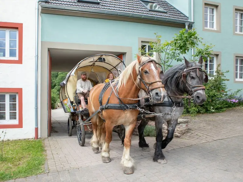 Kutschfahrt auf dem Nengshof Kutschfahrt auf dem Nengshof