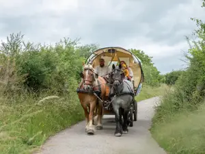 Kutschfahrt auf dem Nengshof Kutschfahrt auf dem Nengshof