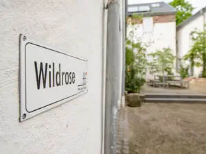 Wildrose Schild an Wand