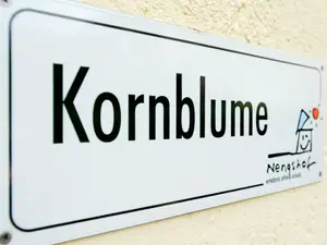 Kornblume Schild mit Name an der Wand