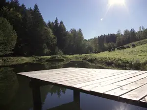 Weiher Weiher