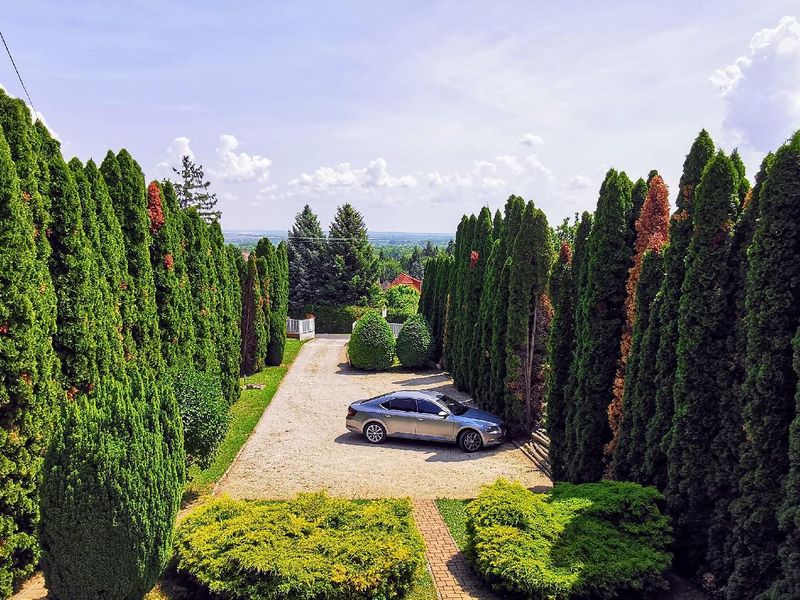 Ausblick aus dem Fenster