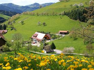 Frühlings liegt in der Luft und überm Haus