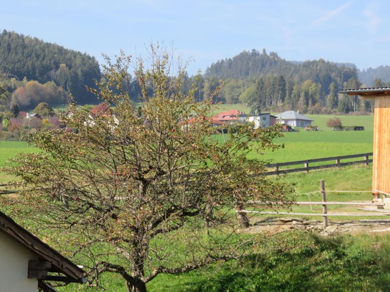 Blick vom Balkon