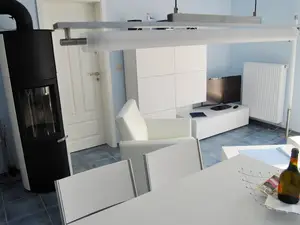 Wohnbereich mit TV und Kamin