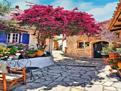 ExteriorSummer