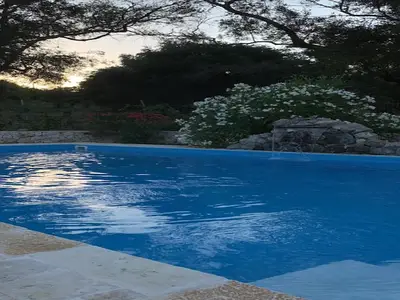 PoolOfHouse