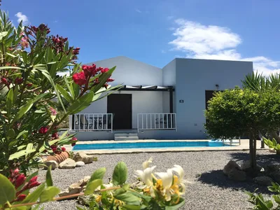 GardenSummer