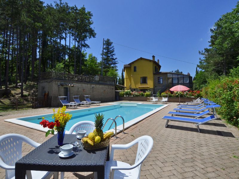 Das Grundstück und der Bereich Pool mit dem großen Solarium