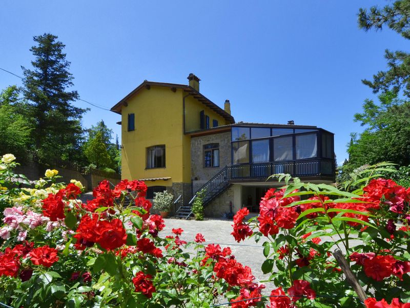 23706975-Villa-20-Anghiari-800x600-2