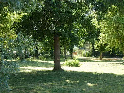 ViewSummer ViewSummer