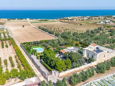 Aus der Vogelperspektive