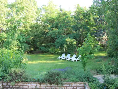 Garten [Sommer]