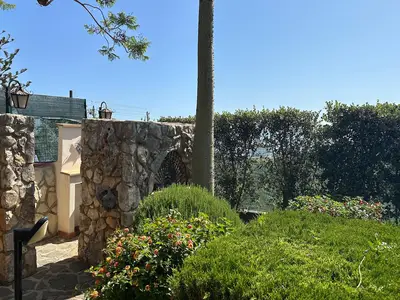 GardenSummer