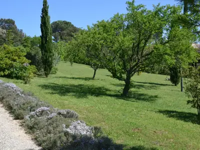 GardenSummer