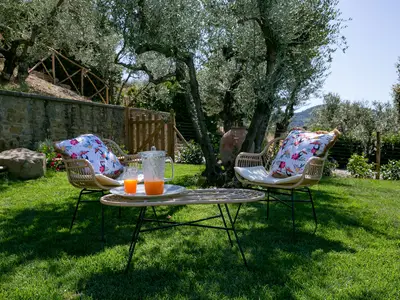 GardenSummer