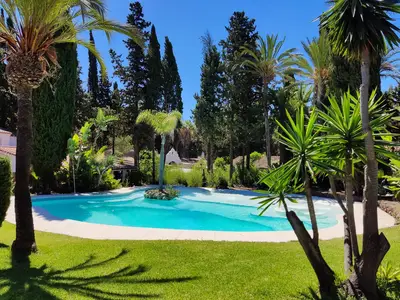 Der Pool ist von tropischen Gärten umgeben. Das ist das Paradies