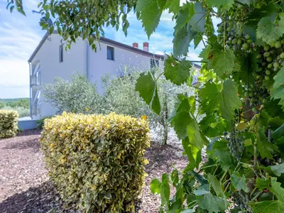 Villa für 8 Personen (170 m²) in Fuškulin 6/10