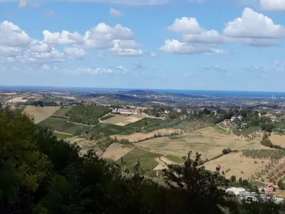 ViewSummer