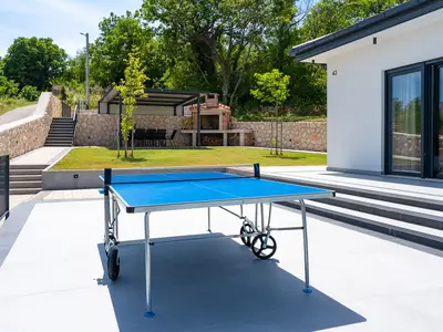 Für eine tolle Zeit mit Freunden und Familie haben wir Tischtennis für Sie.