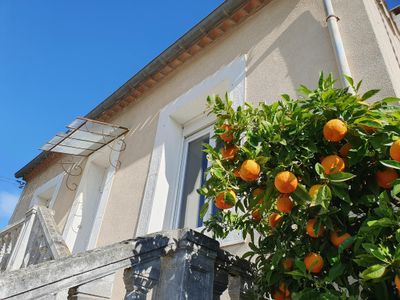 Außenseite Ferienhaus [Sommer]