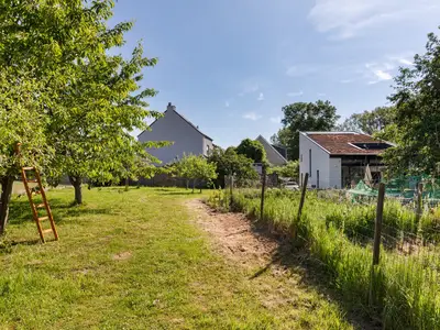 GardenSummer