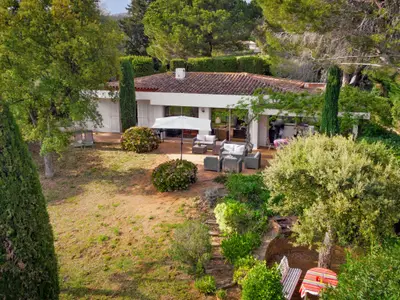 Außenseite Ferienhaus [Sommer]