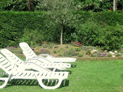 GardenSummer