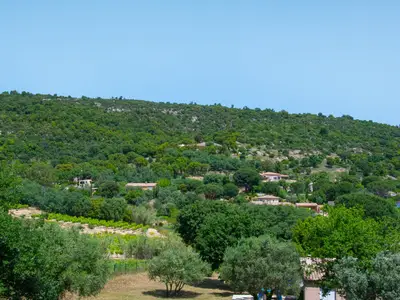 ViewSummer