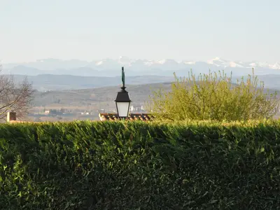 ViewSummer