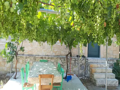 GardenSummer