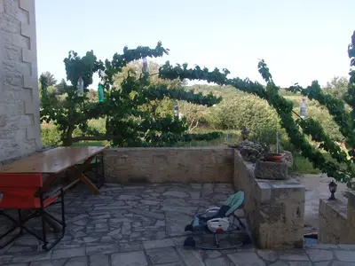 GardenSummer