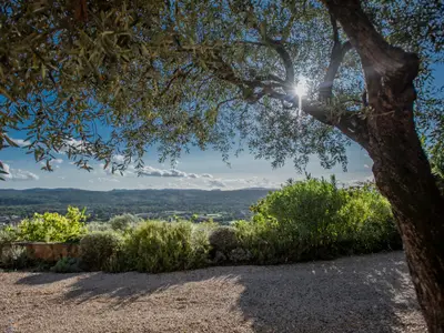 Aussicht vom Ferienhaus [Sommer]