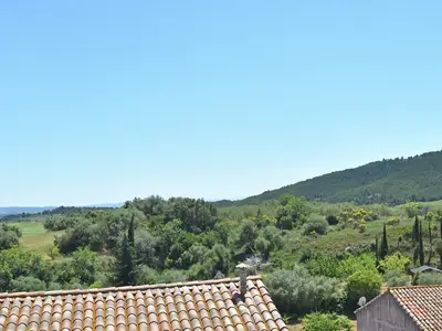 ViewSummer