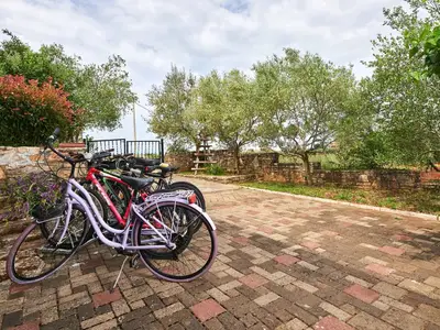 Villa für 8 Personen (200 m²) in Novigrad 10/10
